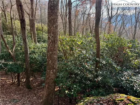 tbd Pheasant Walk Way, Vilas, NC 28692 photo 16