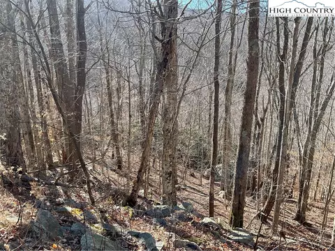 104 Wintercrest Ln, Beech Mountain, NC 28604