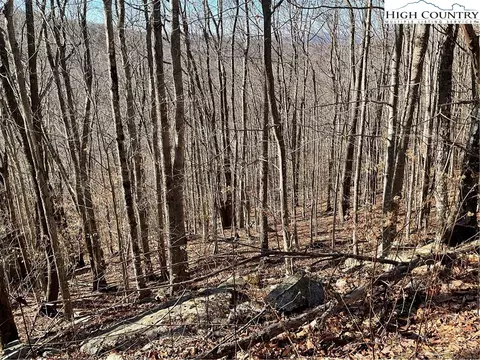 104 Wintercrest Ln, Beech Mountain, NC 28604 photo 2