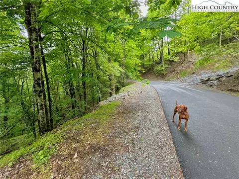 tbd Alpine Dr, Seven Devils, NC 28604 photo 3
