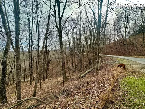 tbd Alpine Dr, Seven Devils, NC 28604 photo 10
