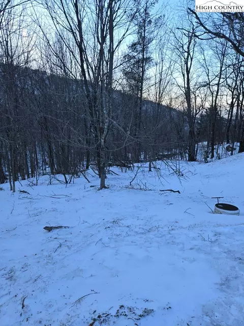 103 Snowplow Ln, Beech Mountain, NC 28604 photo 2
