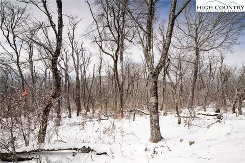 tbd Oz Rd, Beech Mountain, NC 28604 photo 2