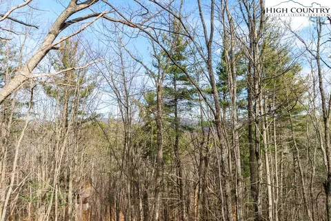 Other - 994 E Laurel Cir, Deep Gap, NC 28618 photo 8 of 10