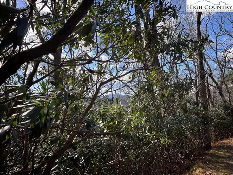 tbd Locust Point Dr, Boone, NC 28607 photo 3