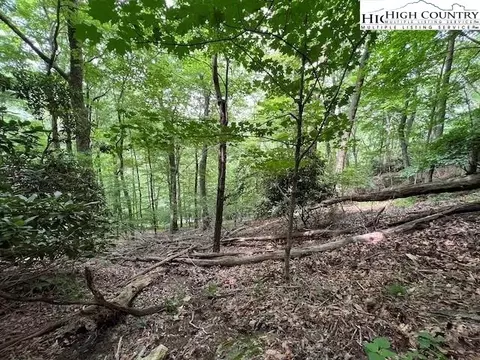 tbd Locust Point Dr, Boone, NC 28607 photo 7
