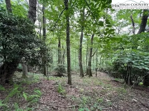tbd Locust Point Dr, Boone, NC 28607 photo 5