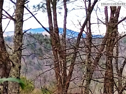 5354 W Ridge Ln, Ferguson, NC 28624