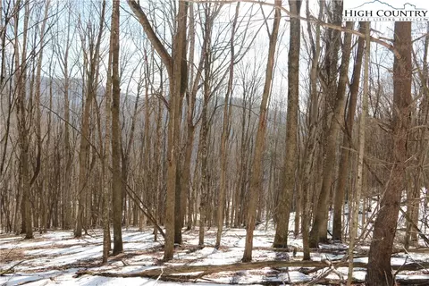 tbd Longhope Rd, Todd, NC 28684 photo 35