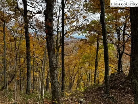 tbd Longhope Rd, Todd, NC 28684 photo 37