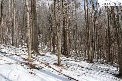 tbd Longhope Rd, Todd, NC 28684 photo 34
