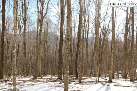 tbd Longhope Rd, Todd, NC 28684 photo 9