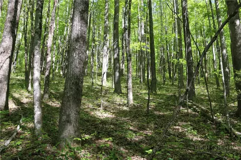 tbd Longhope Rd, Todd, NC 28684 photo 26