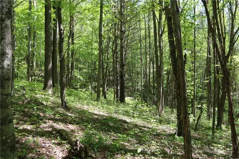 tbd Longhope Rd, Todd, NC 28684 photo 27
