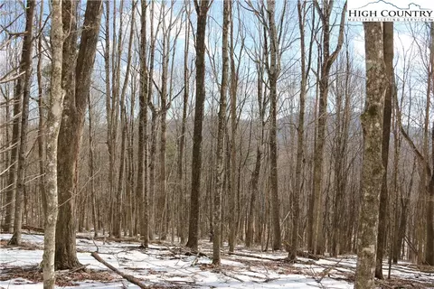 tbd Longhope Rd, Todd, NC 28684 photo 38
