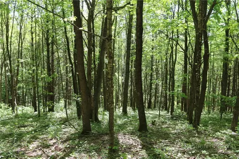 tbd Longhope Rd, Todd, NC 28684 photo 4