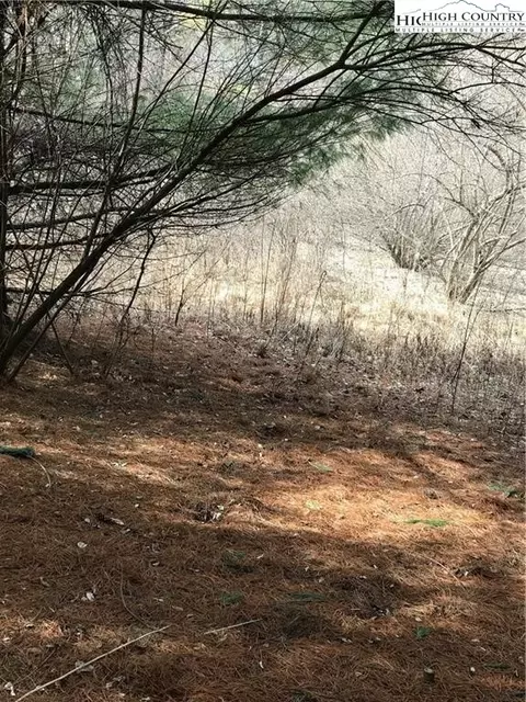 tbd Deer Path Rd, Crumpler, NC 28617