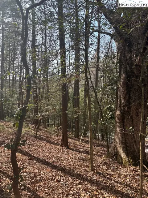 tbd Hollyknoll Rd Lot Apt 49 50, Glade Valley, NC 28627