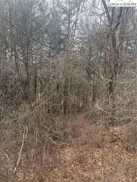 tbd 6-k River Run Ln, Sparta, NC 28675 photo 3