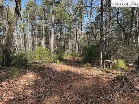 lot120 Rich Pine Dr, Purlear, NC 28665 photo 7