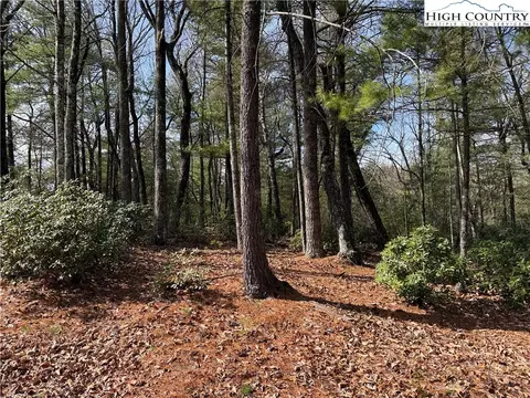 lot120 Rich Pine Dr, Purlear, NC 28665 photo 13
