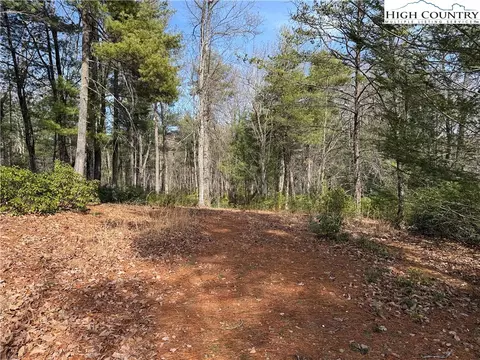 lot120 Rich Pine Dr, Purlear, NC 28665 photo 8