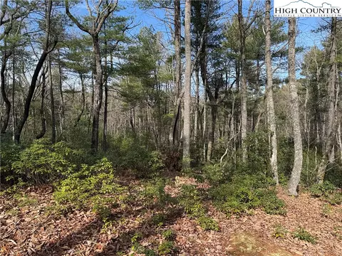 lot120 Rich Pine Dr, Purlear, NC 28665 photo 14
