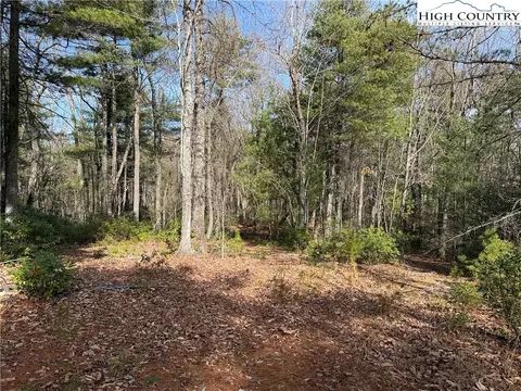 lot120 Rich Pine Dr, Purlear, NC 28665 photo 10