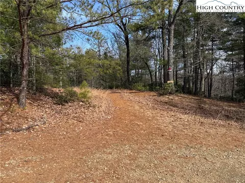 lot120 Rich Pine Dr, Purlear, NC 28665 photo 4