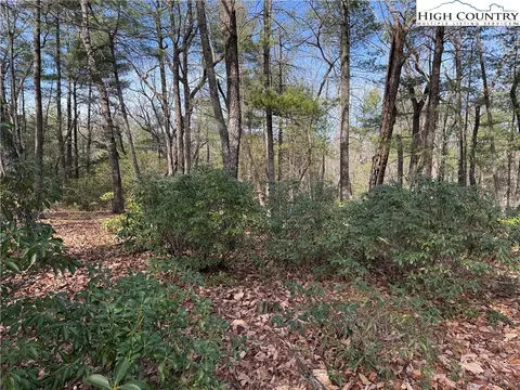 lot120 Rich Pine Dr, Purlear, NC 28665 photo 9