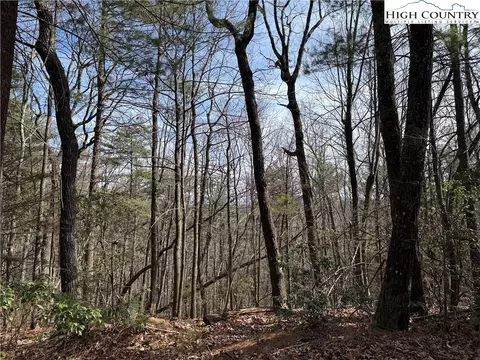 lot120 Rich Pine Dr, Purlear, NC 28665 photo 15