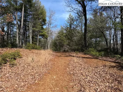 lot120 Rich Pine Dr, Purlear, NC 28665 photo 5