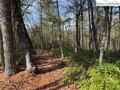 lot120 Rich Pine Dr, Purlear, NC 28665 photo 11