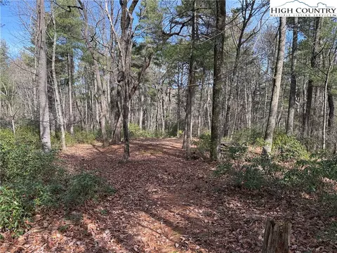 lot120 Rich Pine Dr, Purlear, NC 28665 photo 12