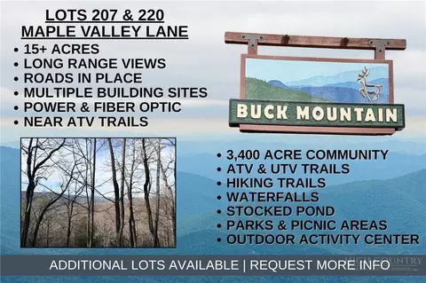 lot S 207 220 Maple Valley Ln, Purlear, NC 28665