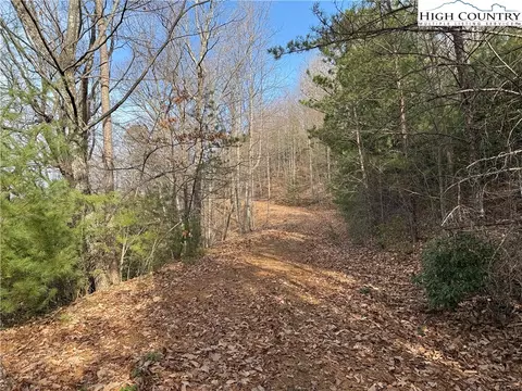lot S 207 220 Maple Valley Ln, Purlear, NC 28665 photo 2
