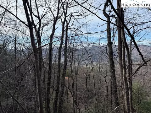 lot S 207 220 Maple Valley Ln, Purlear, NC 28665 photo 3