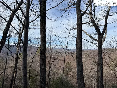 lot S 207 220 Maple Valley Ln, Purlear, NC 28665 photo 5
