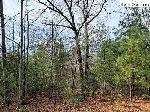 lot S 207 220 Maple Valley Ln, Purlear, NC 28665 photo 19