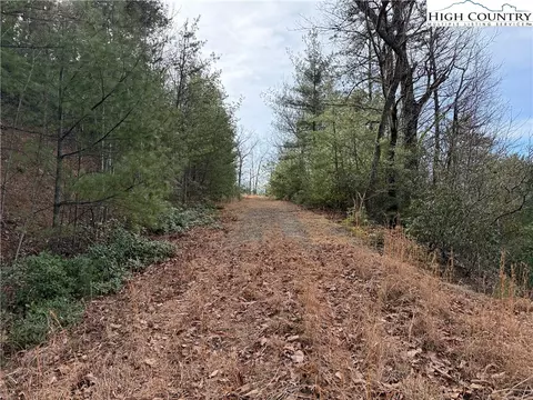 lot S 207 220 Maple Valley Ln, Purlear, NC 28665 photo 17