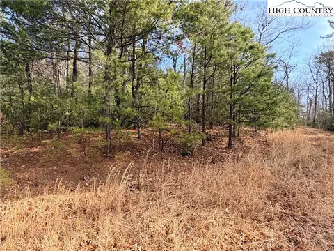 lot S 207 220 Maple Valley Ln, Purlear, NC 28665 photo 16