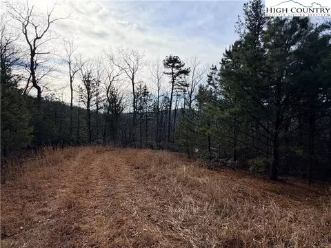 lot S 207 220 Maple Valley Ln, Purlear, NC 28665 photo 12