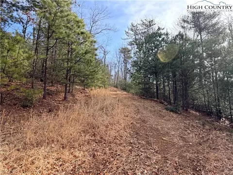 lot S 207 220 Maple Valley Ln, Purlear, NC 28665 photo 15