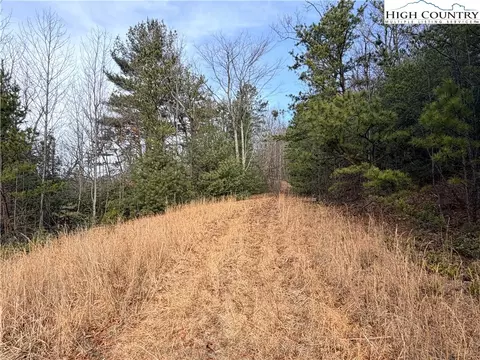 lot S 207 220 Maple Valley Ln, Purlear, NC 28665 photo 11