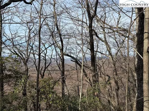 lot S 207 220 Maple Valley Ln, Purlear, NC 28665 photo 8