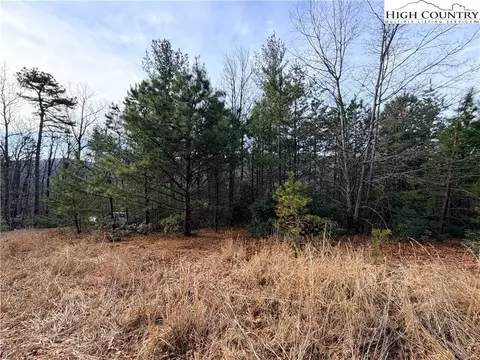 lot S 207 220 Maple Valley Ln, Purlear, NC 28665 photo 13