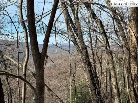 lot S 207 220 Maple Valley Ln, Purlear, NC 28665 photo 9