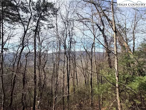lot S 207 220 Maple Valley Ln, Purlear, NC 28665 photo 4