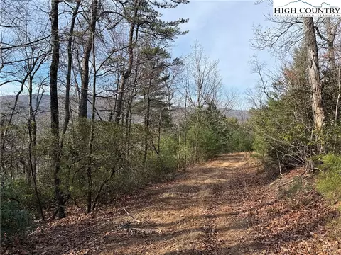 lot S 207 220 Maple Valley Ln, Purlear, NC 28665 photo 14