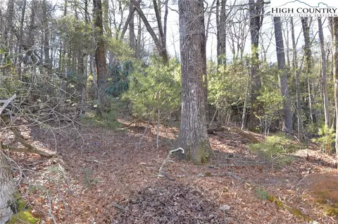 tbd Greenhouse Rd, Roaring Gap, NC 28668 photo 9